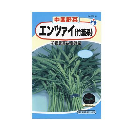 エンツァイ 12g 1