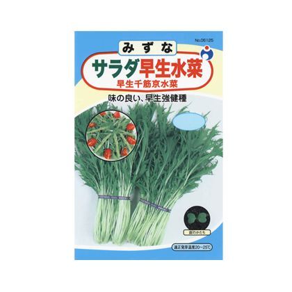 丸種育成早生千筋京水菜 10ml 1