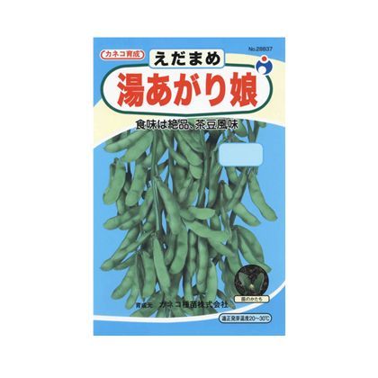 湯上り娘 枝豆 30g 1