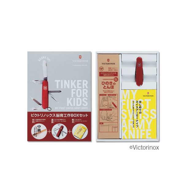 脳育工作BOXセットひのきとんぼ