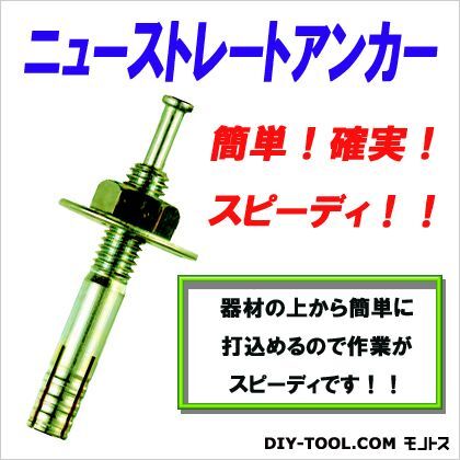 ニューストレートアンカー 10mmx60mm F-012 C-1060 3本