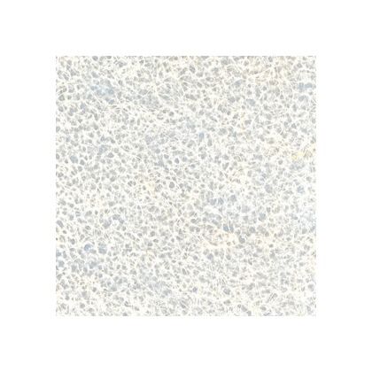 シート(生なり糸入り落水)工芸和紙シリーズ強化障子紙 0.3×930×606mm K-114 1