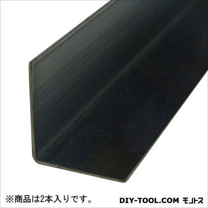 ステンレスアングル 1000mm TN-971 2本