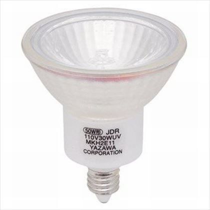 エコクールハロゲンシャイン50W形広角