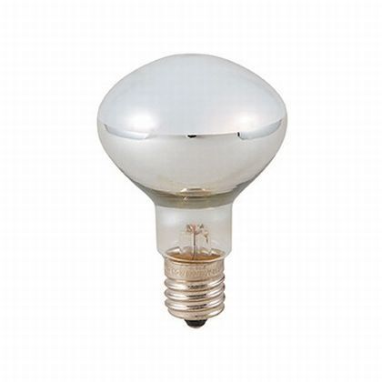 クリプトン球50W形 長寿命