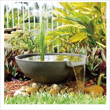 ゼンスイ スイレン滝セット...