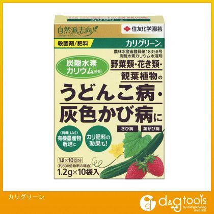 10袋