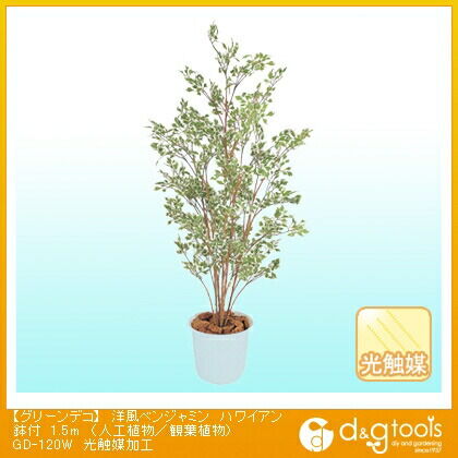 グリーンデコ洋風ベンジャミンハワイアン鉢付(人工植物/観葉植物)光触媒加工 1.5m GD-120W 1