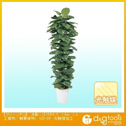 グリーンデコ洋風ヘゴ付ポトス(人工植物/観葉植物)光触媒加工 1.8m GD-09 1