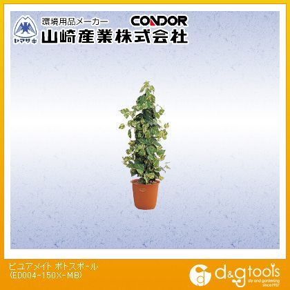 ED004-150X-MB