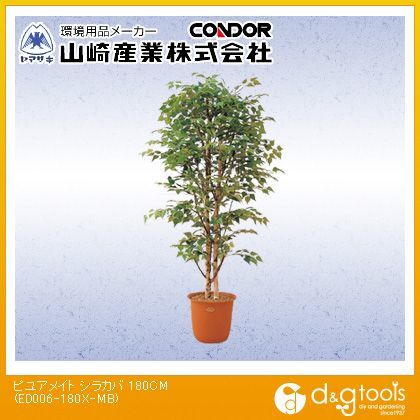 ピュアメイトシラカバ