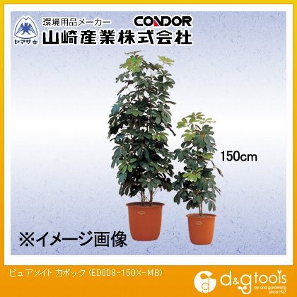 ピュアメイトカポック