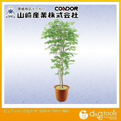 ピュアメイトぶなの木